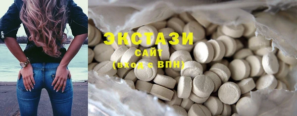 МДПВ Каменка