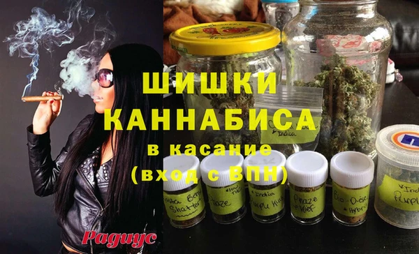гидропоника Каменногорск