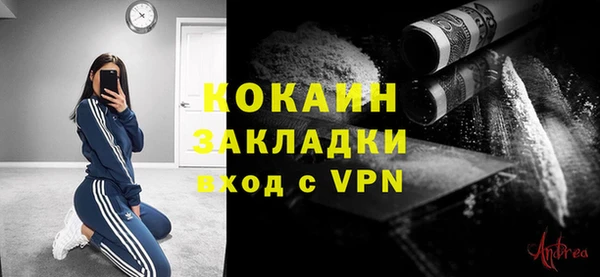 МДПВ Каменка