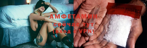 МДПВ Каменка