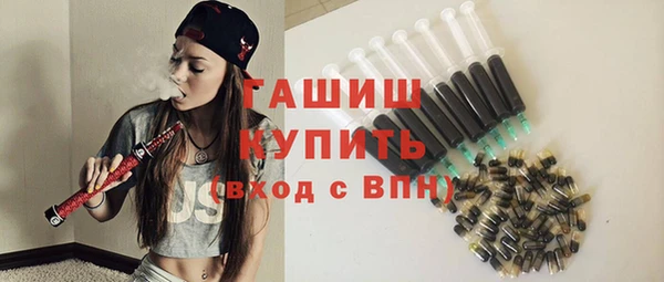 МДПВ Каменка
