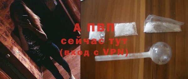 МДПВ Каменка