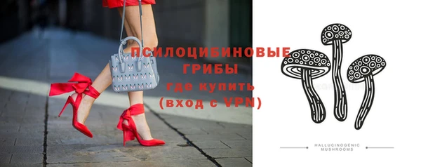 твердый Каменск-Шахтинский