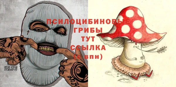 твердый Каменск-Шахтинский