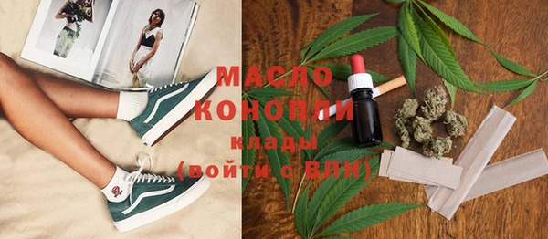 МДПВ Каменка