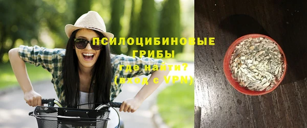 гидропоника Каменногорск