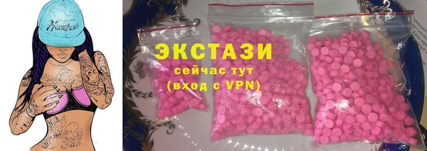 МДПВ Каменка