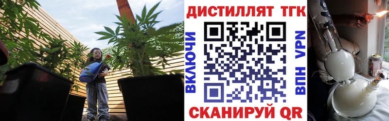 ТГК THC oil  Купить закладки  Иланский 